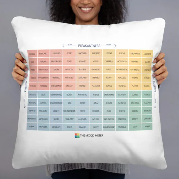 The Mood Meter Pillow