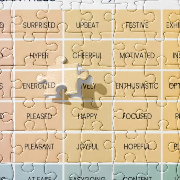 The Mood Meter Jigsaw Puzzle