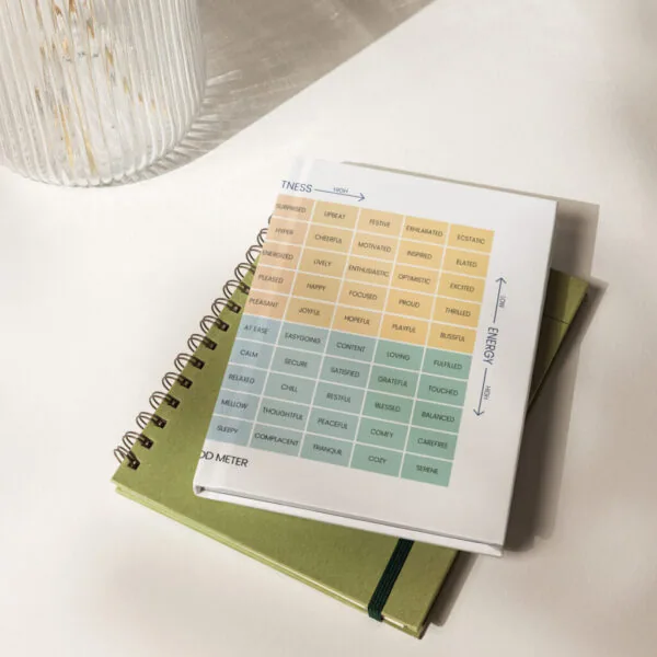 Mood Meter Hardcover Journal – Matte Finish, 150 Lined Page