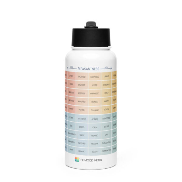 Stainless Steel Water Bottle – with Straw Lid & Handle