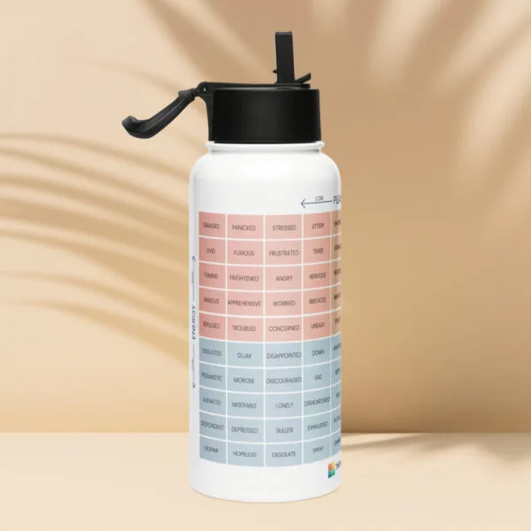 Stainless Steel Water Bottle – with Straw Lid & Handle