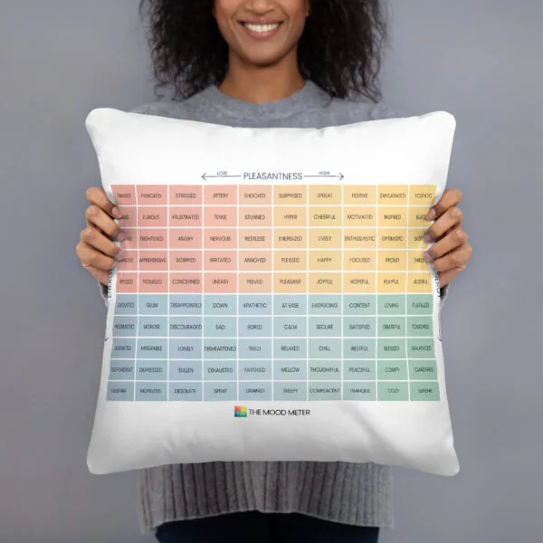Mood Meter & RULER Method Pillow - Image 2