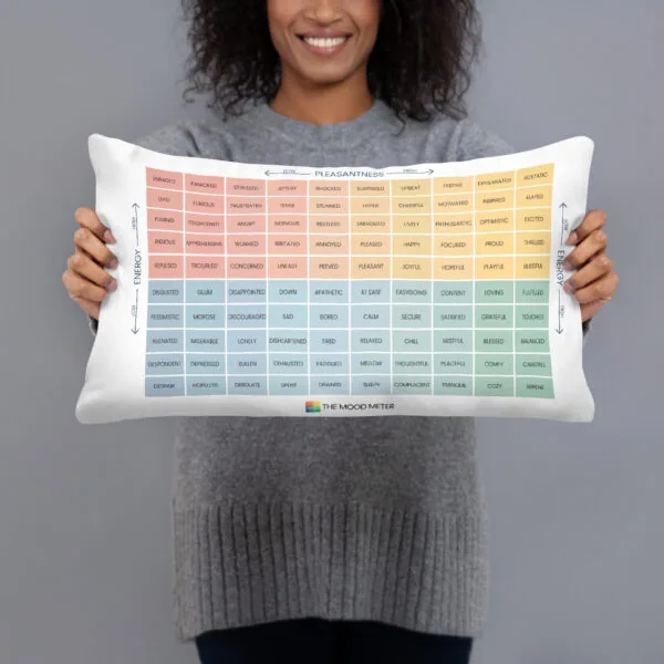 Mood Meter & RULER Method Pillow - Image 3
