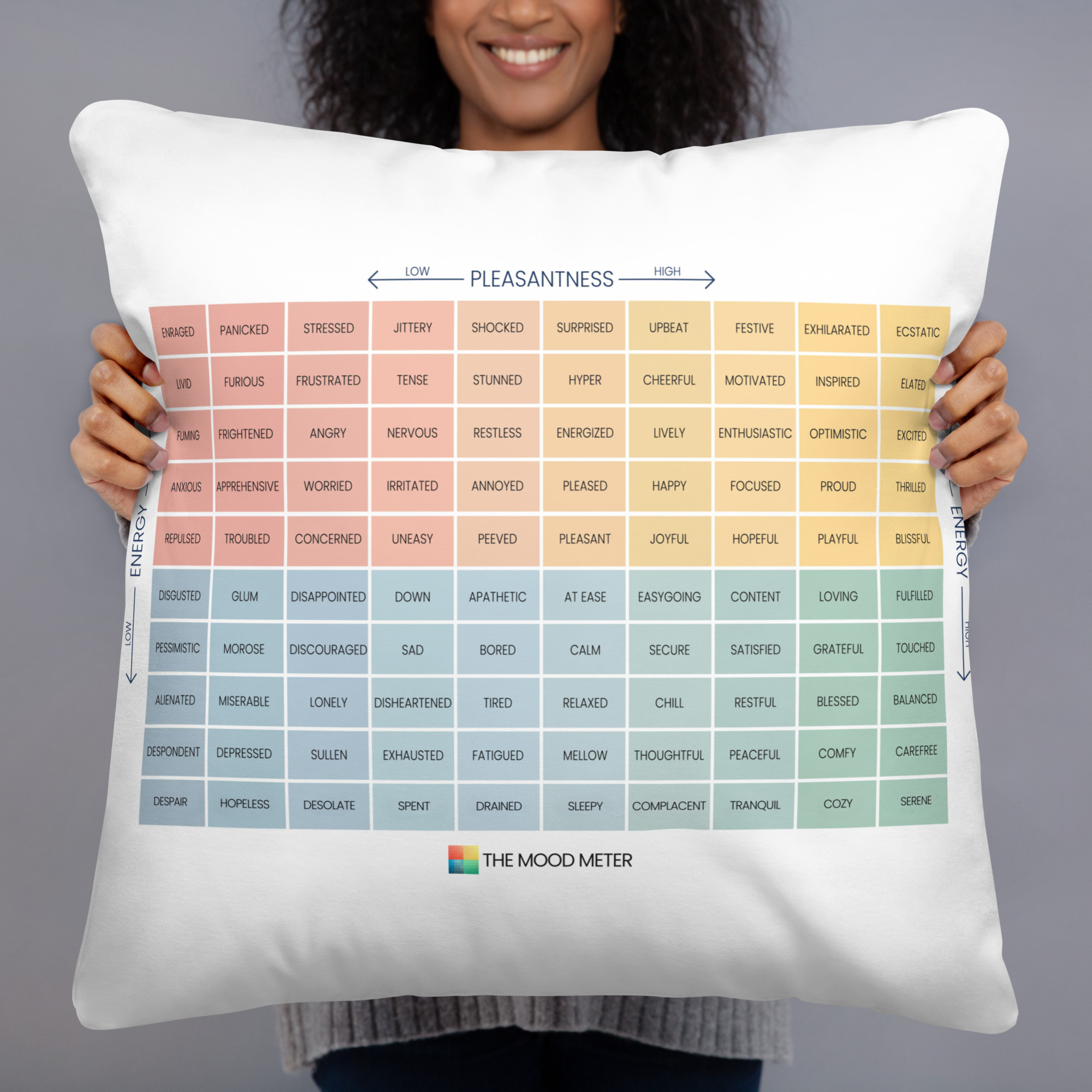 Mood Meter & RULER Method Pillow
