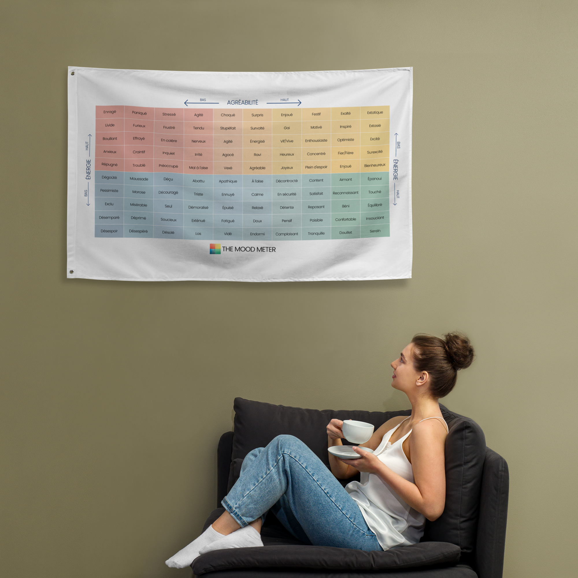 Drapeau du Mood Meter – Édition Française