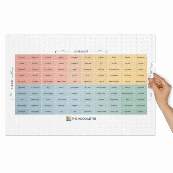 Puzzle du Mood Meter avec Boîte en Métal – Édition Française