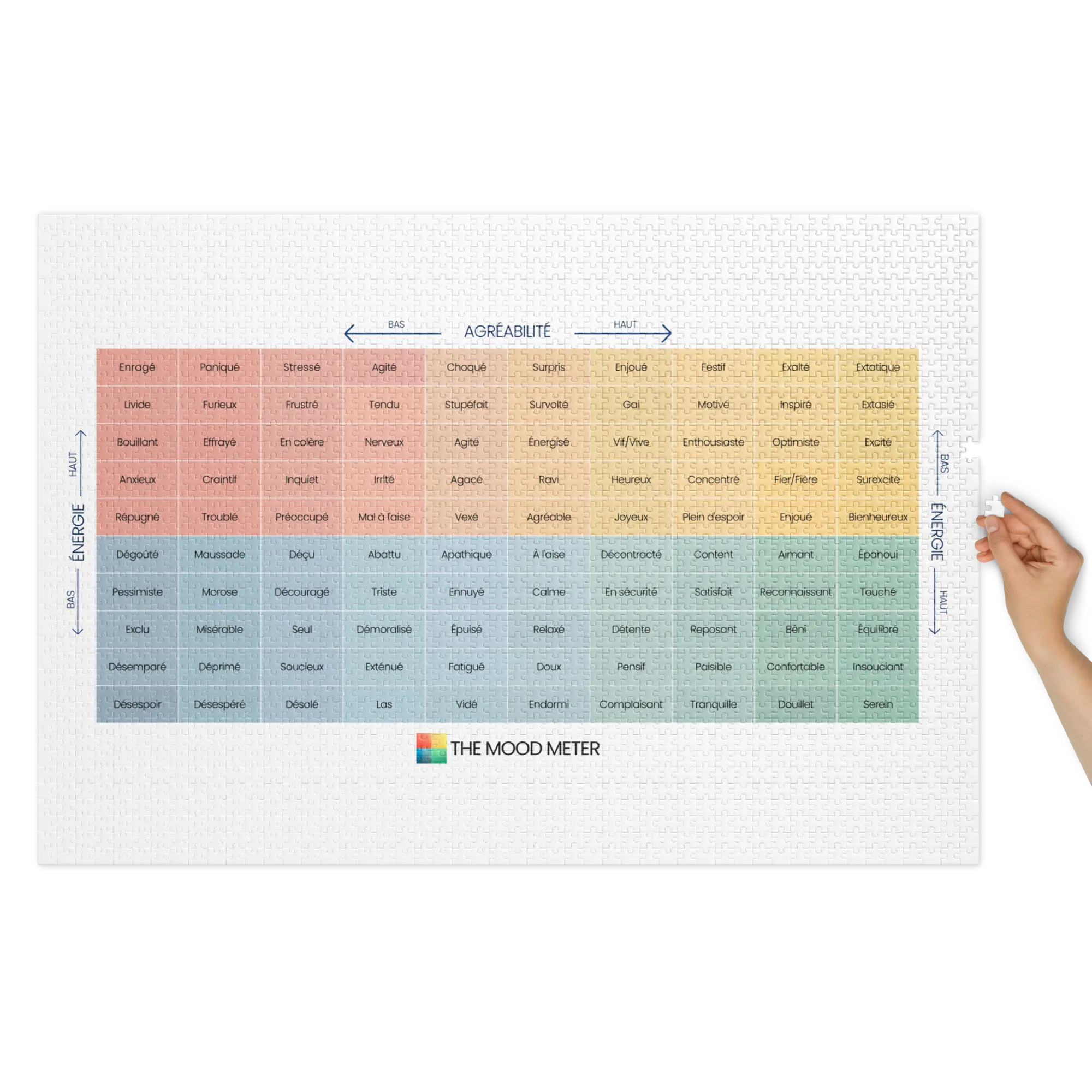 Puzzle du Mood Meter avec Boîte en Métal – Édition Française