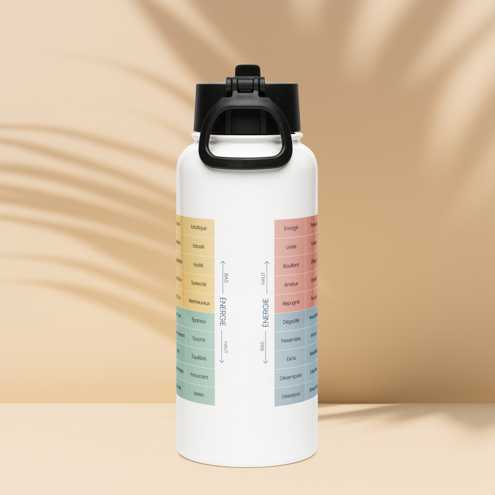 Bouteille en Acier Inoxydable avec Paille du Mood Meter – Édition Française