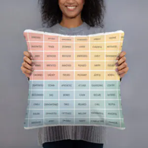 Mood Meter & RULER Method Pillow, 18×18, shown with a person