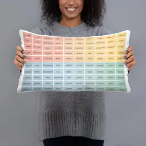 Mood Meter & RULER Method Pillow, 20×12, shown with a person