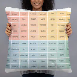 Mood Meter & RULER Method Pillow, 22×22, shown with a person