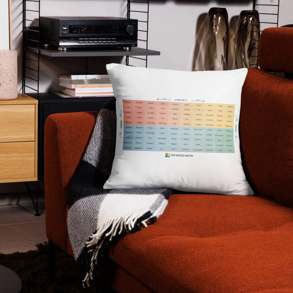 Coussin Basique du Mood Meter – Édition Française - Image 6