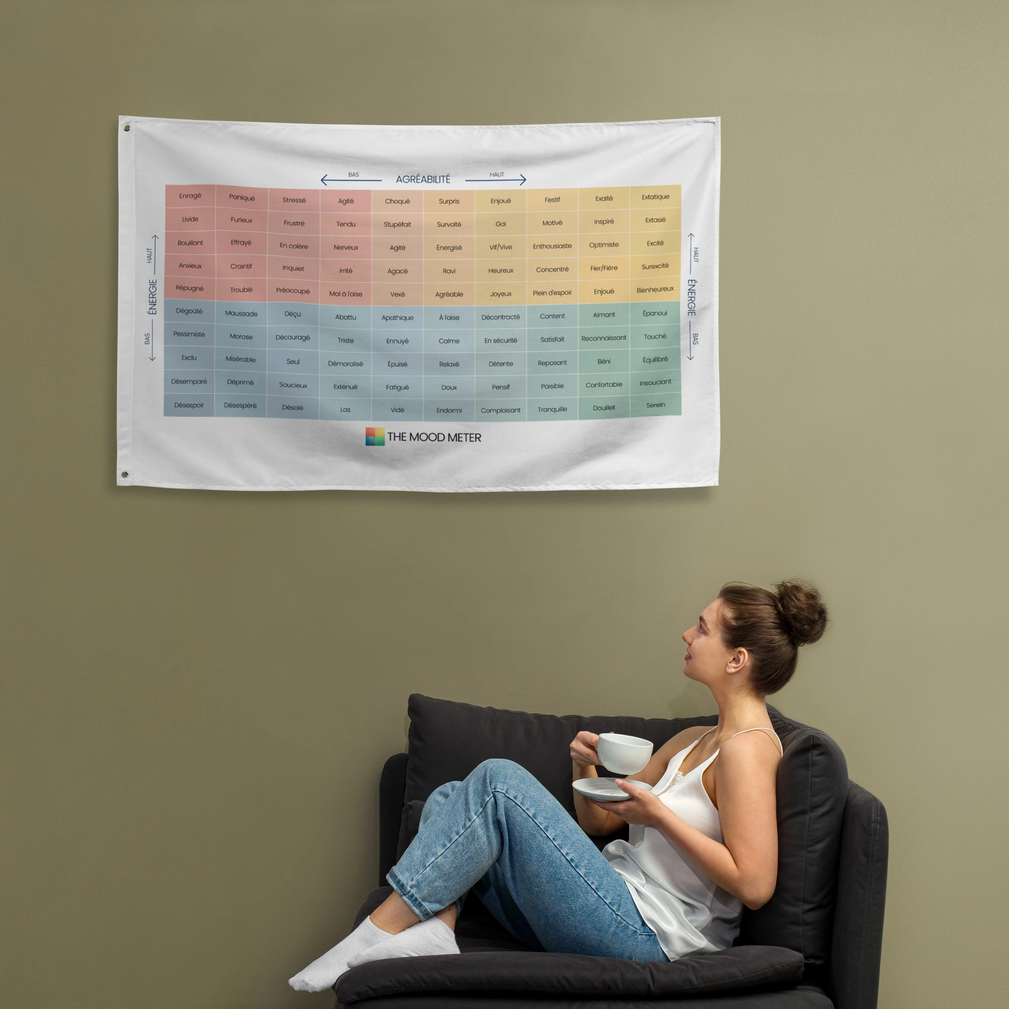 Drapeau du Mood Meter – Édition Française