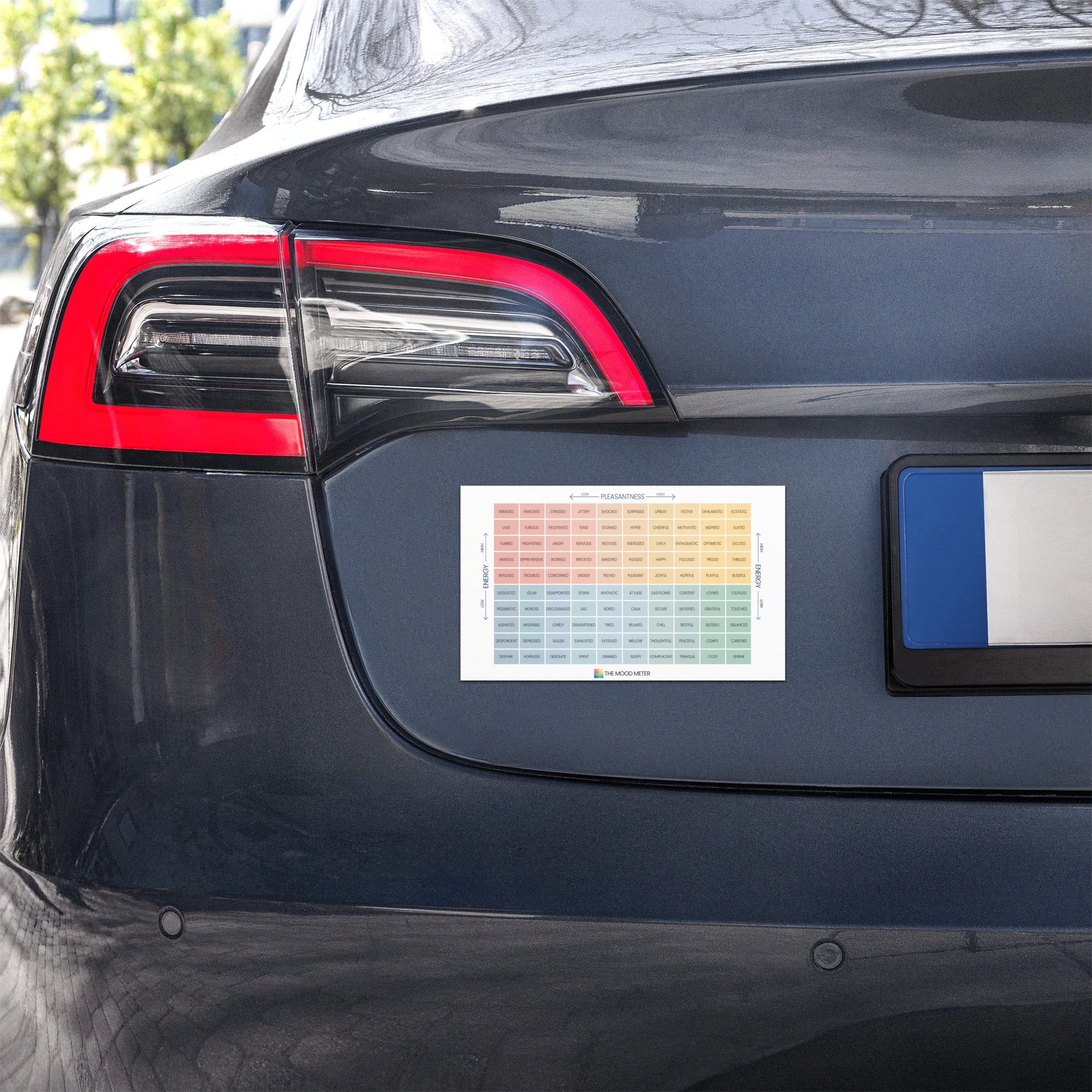 Car Magnets – Weather-Resistant Vinyl with Matte Finish