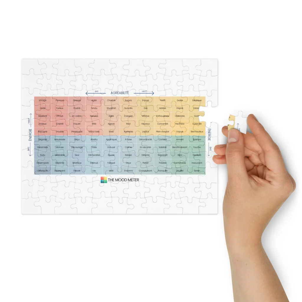 Puzzle du Mood Meter avec Boîte en Métal – Édition Française