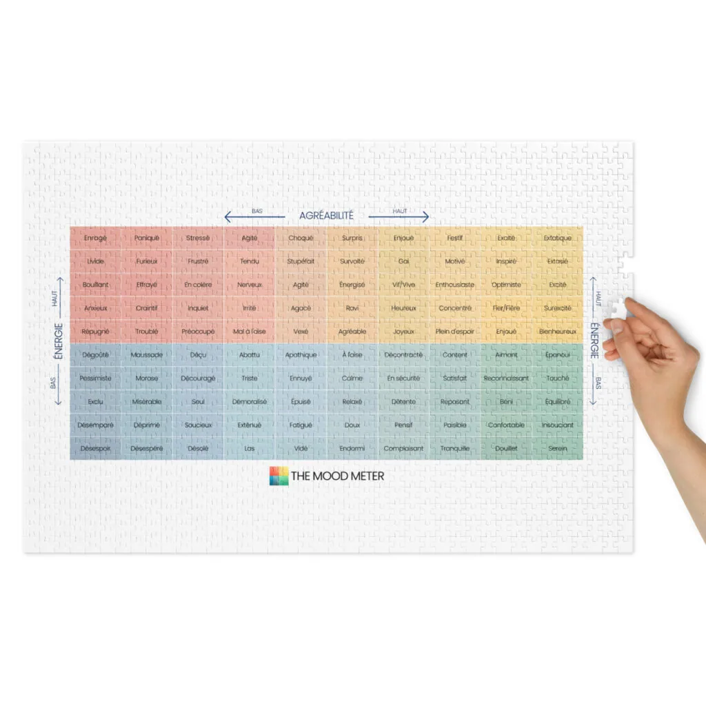Puzzle du Mood Meter avec Boîte en Métal – Édition Française - Image 2