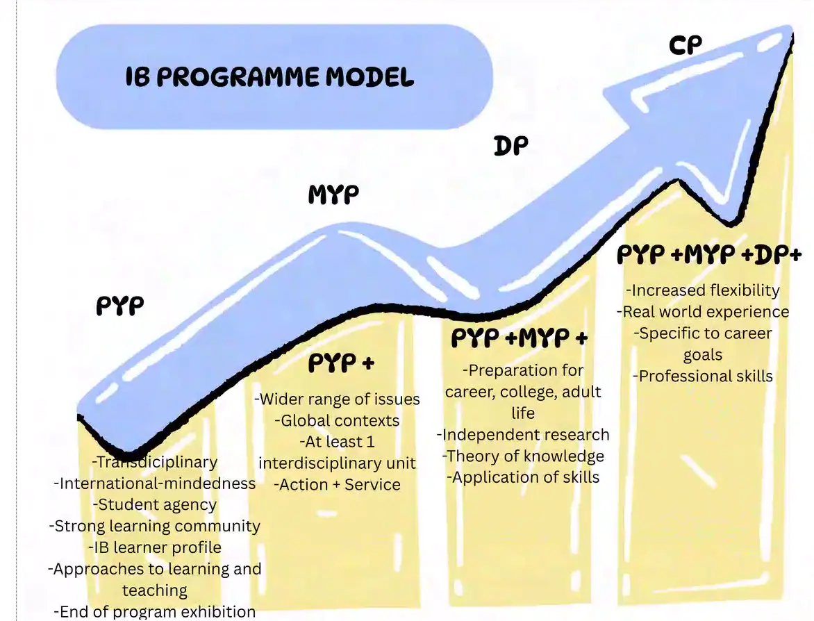 IB Programme Model chart showing a rising arrow from PYP through MYP and DP to CP, with stacked skills added at each stage